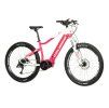 Crussis e-Guera 7.8 rám 19"