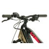 Crussis e-Fionna 9.9-M - rám  19"