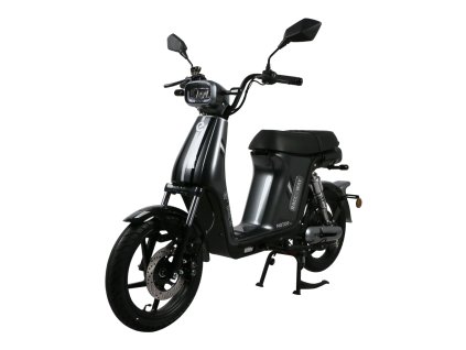Elektroskútr RACCEWAY® E-BABETA® II, šedo-černá (Výkon (W) 250)