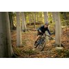 PELLS Root 2 Blue (Varianta L)
