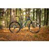 PELLS Root 2 Blue (Varianta L)