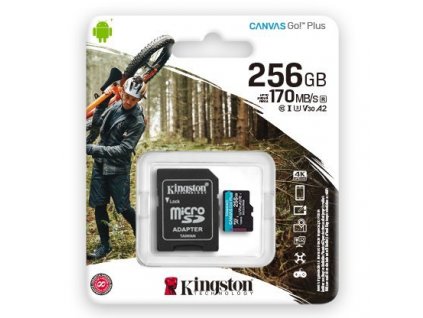 Kingston 256GB SDCG3/256GB CANVAS Go! Plus
