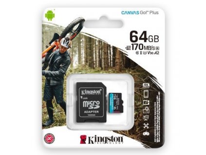 Kingston SDCG3/64GB 64GB CANVAS Go! Plus