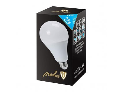 Nedes ZLS509 LED 22W E27/A95/240/6000K studená biela