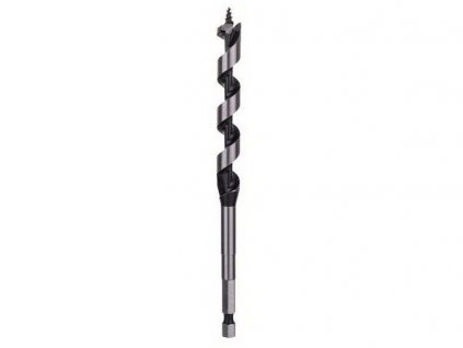 Bosch 2.608.585.699 vrták do dreva skrutkovitý 12/100/160