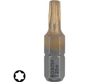 Bosch 2 607 002 540 MaxGrip T20