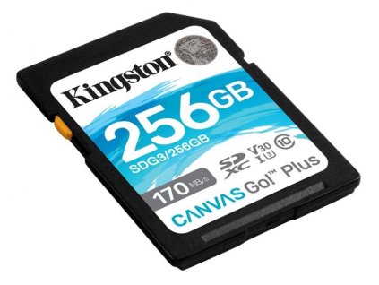 Kingston 256GB CANVAS Go! Plus class 10 UHS I Pam.k.SDXC 1