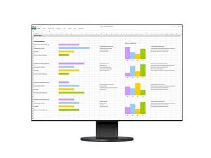 EIZO 24" EV2456-BK, 1920 x 1200, IPS,16:10, 5ms, 350 cd/m2, 1000:1, DP/HDMI/DVI/Dsub, ultraslim 1 mm rám., černý