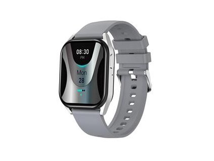 Canyon SW-58, Chatter , smart hodinky, BT s app Canyon Life, BT volania, IP67, AI asistent, 123 šport.rež., strieborn