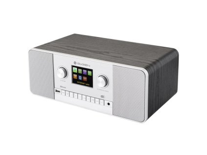 Gogen IR 257 BTDAB strieborné/čierne Rádio internetové