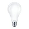 Philips 9290023728 E27/A67 17,5W 6500K 2452lm Žiarovka Led