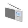 Sony XDR-S41DW