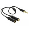 Delock 65356 Redukcia 3.5 Jack-2 x 3.5 Jack 25 cm čierny
