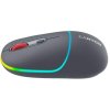 Canyon MW 22 CNS CMSW22DG 2v1 wireless Dark Grey Myš 5