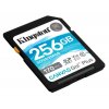 Kingston 256GB CANVAS Go! Plus class 10 UHS I Pam.k.SDXC 1