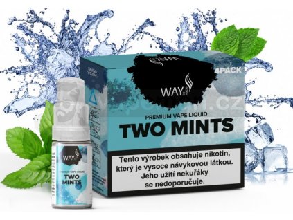 Liquid WAY to Vape 4Pack Two Mints 4x10ml-6mg