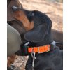 Přijímač pro Satelitný GPS lokátor Dogtrace DOG GPS X20 orange