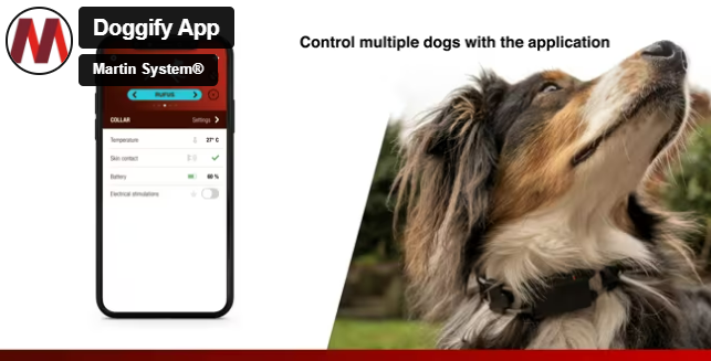📱 Mobile Anwendung Doggify: Neue Dimension der Kommunikation mit Ihrem Hund 🐕