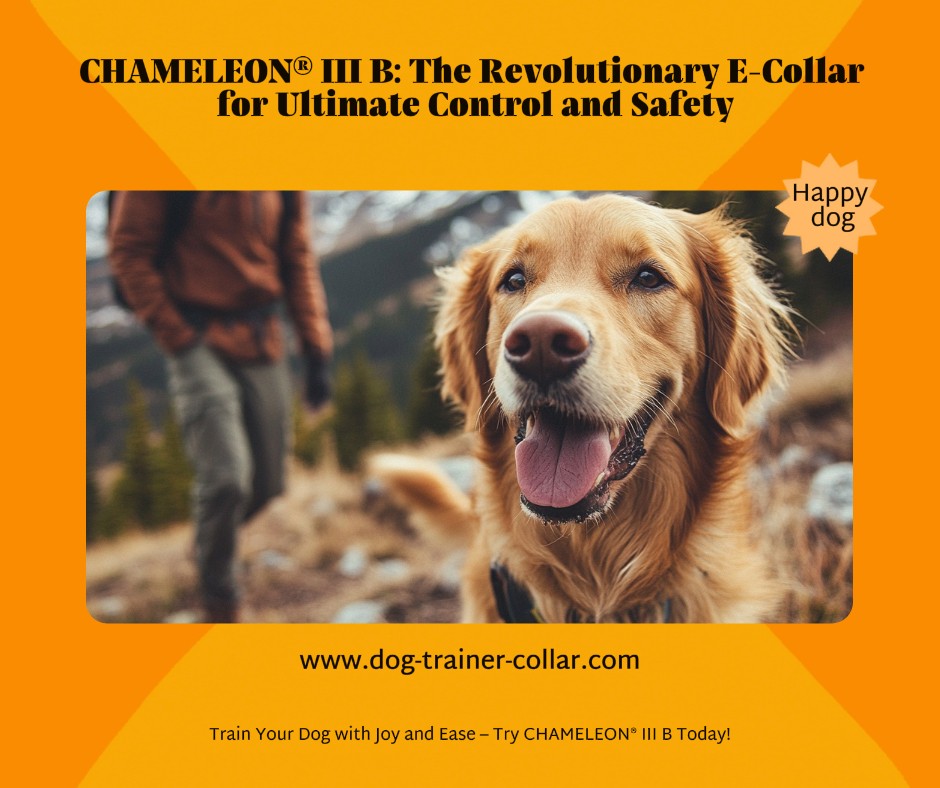 Erziehen Sie Ihren Hund mit Freude und ohne Stress – Probieren Sie CHAMELEON® III B!