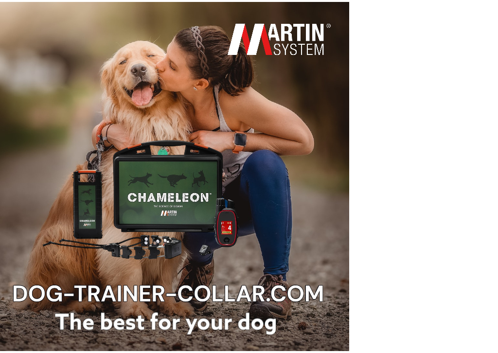 🐾 Martin System®: Eine Brücke zwischen Ihnen und Ihrem Hund 🐾