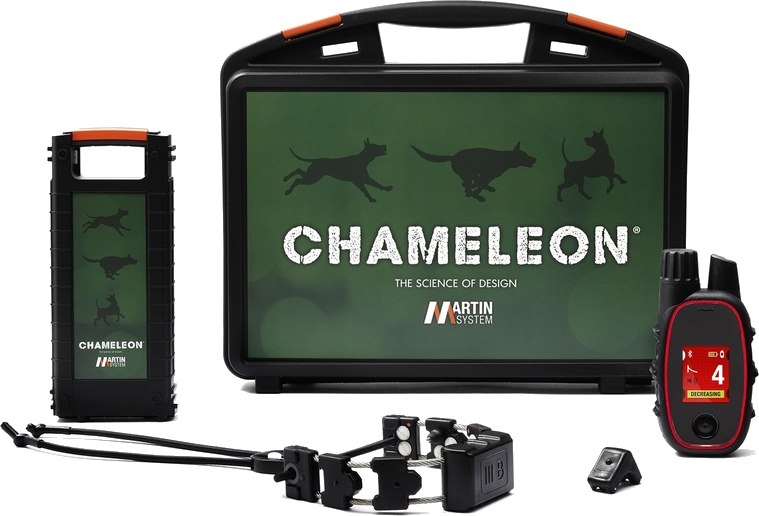 Warum MARTIN SYSTEM®-Halsbänder verwenden?