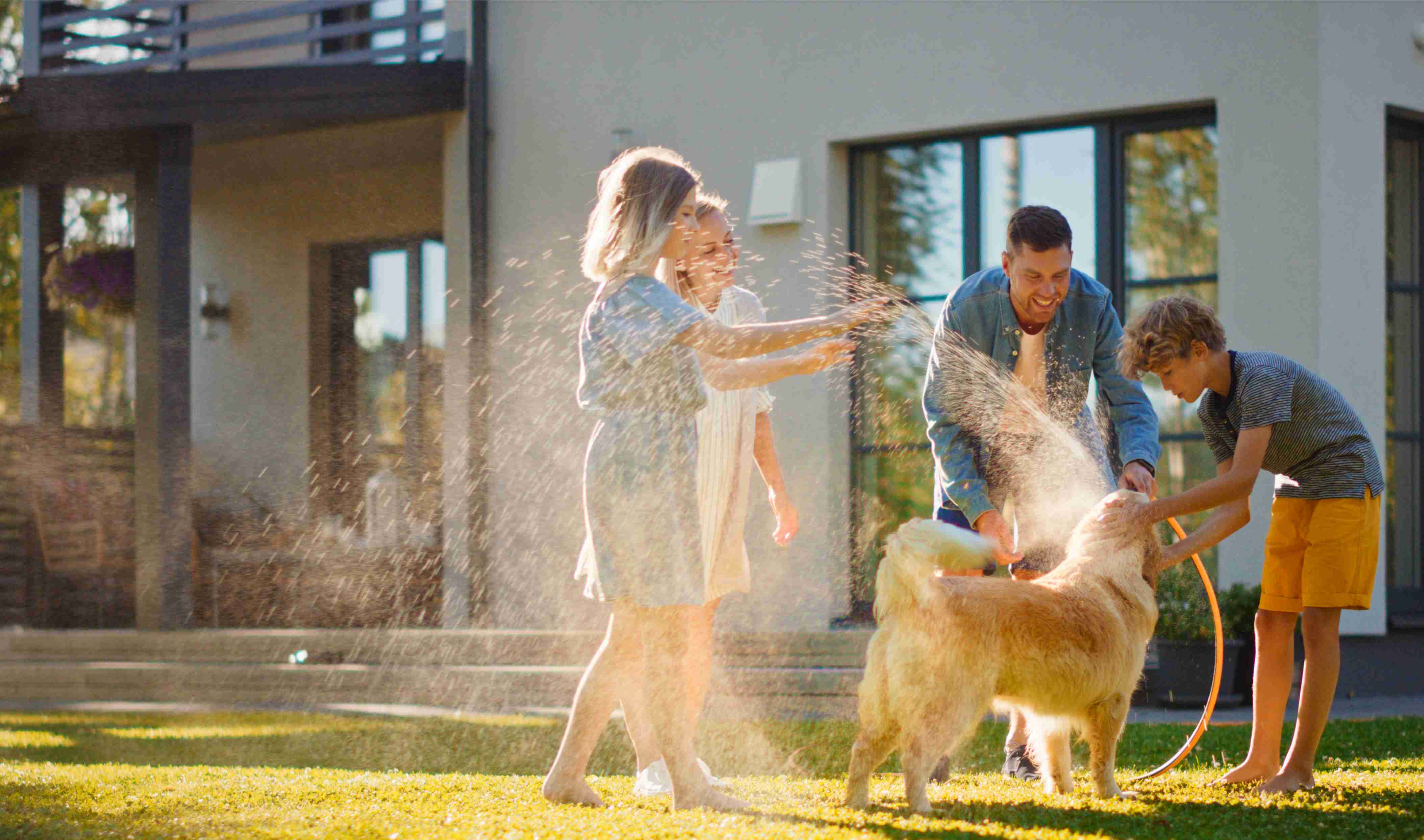 Trainingshalsbänder von MARTIN SYSTEM
