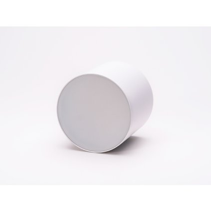 38103 9 stropni svitidlo 24v dual white d135 30w wh 1 kopie