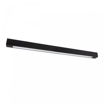 LED TRUBICE CELÝ DEN 1200 250V 1250X65X70MM ČERNÁ