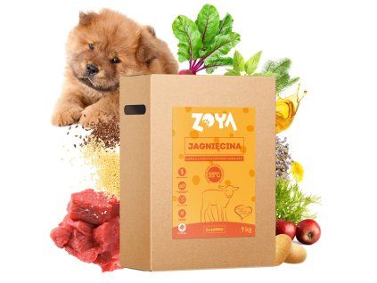 D290d2m3N0X0E1U7B5r2A2i532j2D659