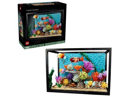 E724b529S020a1b77698E8M3E091S2y8