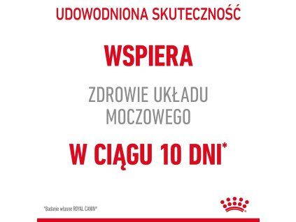 61L6E8O7M0H051W743g2E2E854A295f6