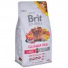 BRIT Animals Guinea Pig Complete - suché krmivo pro morčata - 300 g