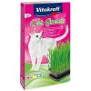 VITAKRAFT Cat Grass - Sada pro kočky - 120 g