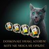 N4U5p7D2u0x0E1P7O2m0a0l9N437h7c7