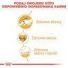 K1Y1b6o510E0W197H3b3E491u0Y0j9d6
