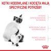 I5Z4e7f9C0X0n1X7U3P28288O5e5M5X0