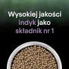 21I5i9y2B0T001a7q7a3k668A2K425b8