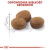 46T4c3c7r0K0d1l7Q3L3v4l0c5K9v9U2