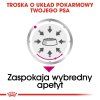 01T8e5V1f0A0Y1s7B2K773y5x7e939P2