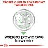 J4X5w4c2N0Q0U1P7Z277T3c5W5b908S5