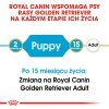 S6C2w182r0r0c1L7D247m2h6C2M9n119