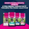 Q286b5h0B0N0f1N7p7p0q7L5l9c2j1j1