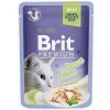 BRIT Premium Trout Fillets in Jelly - mokré krmivo pro kočky - 85g