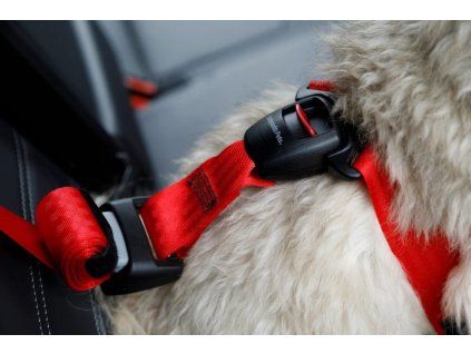 D8V3N5u9d0Q0711757c2B4E9x2f6c5p7