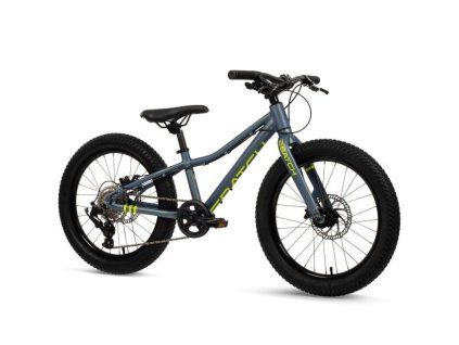 MTB Batch Alu 20” chameleo (B374455W)