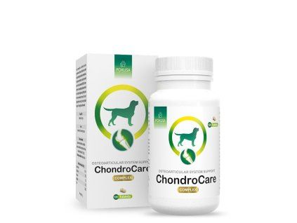 F3H1a4P6x0e0Z1Z756a4p8l7p4o7Y2n6