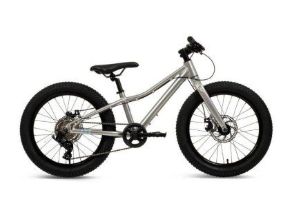 MTB Batch Alu 20” silver (B374555W)