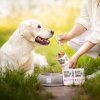 N4D8M3V9x0C0u1D7D3F1I6p5W8P026T3