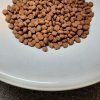 6192h1e1s0T0Y1E7460813c4L0F2K1G7
