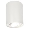 cze pm LED SKAND 1 White GU10 IP20 kruhove bile EDO777101 Edo Solutions bodove stropni svitidlo pro povrchovou montaz 75693 2